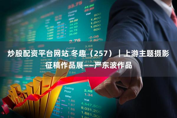 炒股配资平台网站 冬趣（257）｜上游主题摄影征稿作品展——严东波作品
