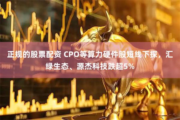 正规的股票配资 CPO等算力硬件股短线下探，汇绿生态、源杰科技跌超5%